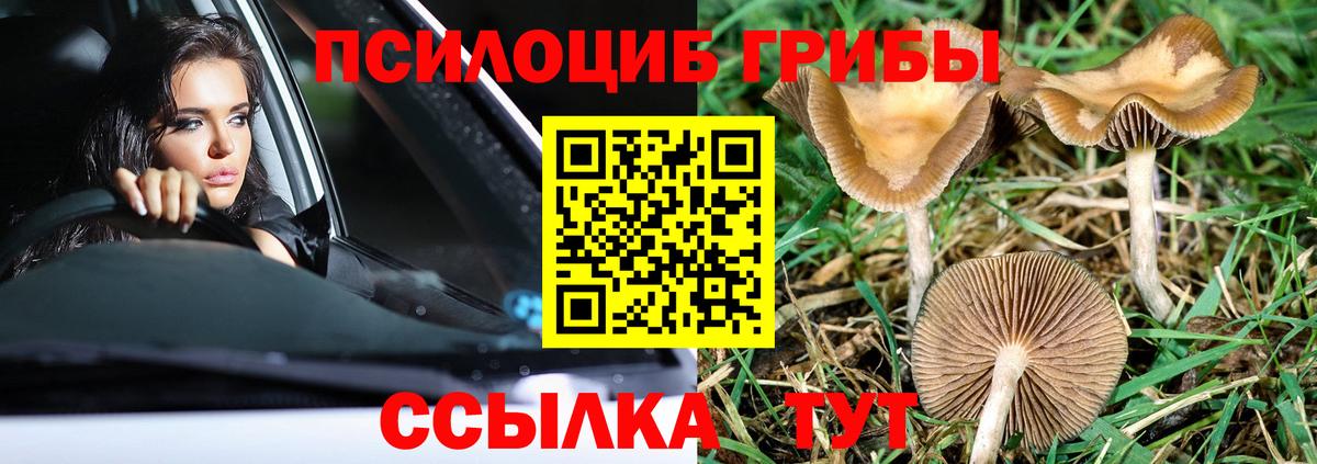 Галлюциногенные грибы MAGIC MUSHROOMS  Вход с VPN  что такое   Муравленко 